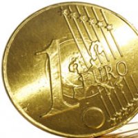 Euro - strigatul disperarii